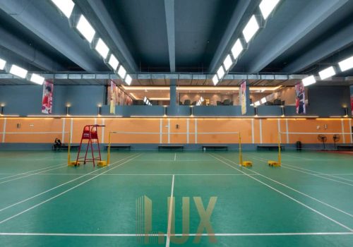 photo 6055408179870808691 y