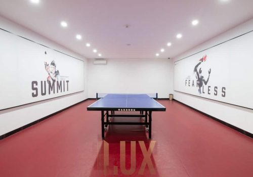 photo 6055408179870808693 y