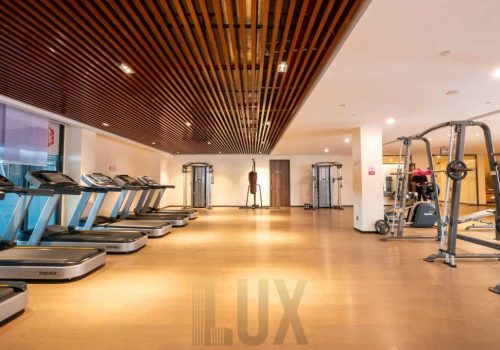 photo 6055408179870808699 y