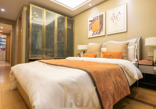 photo 6055408179870808716 y