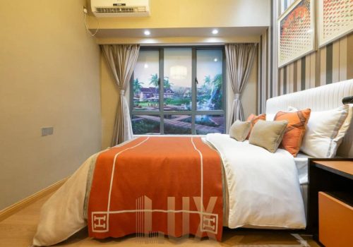 photo 6055408179870808722 y