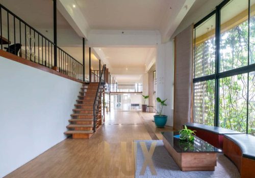 photo 6055408179870808900 y