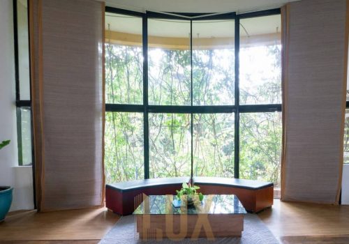 photo 6055408179870808904 y