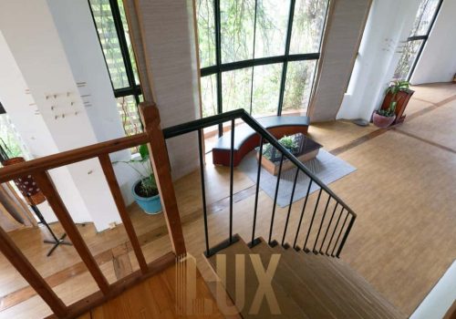 photo 6055408179870808908 y