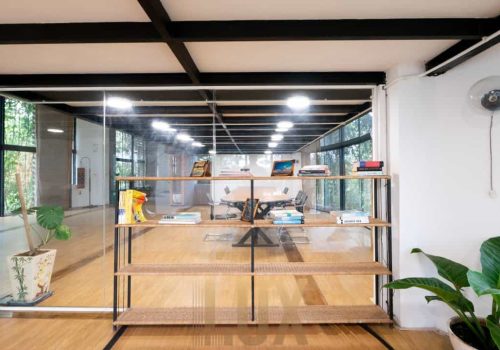 photo 6055408179870808912 y