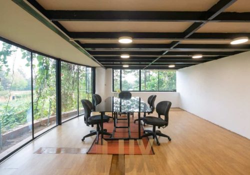 photo 6055408179870808913 y