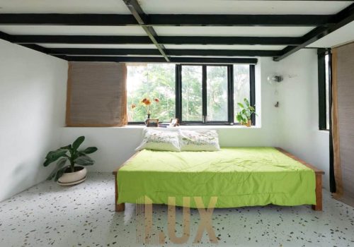 photo 6055408179870808914 y