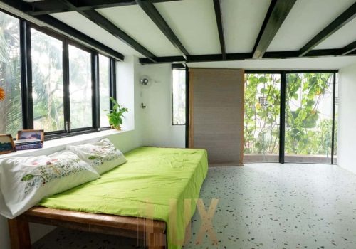 photo 6055408179870808915 y