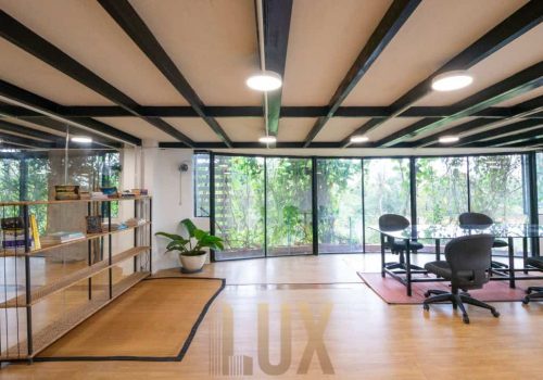 photo 6055408179870808917 y