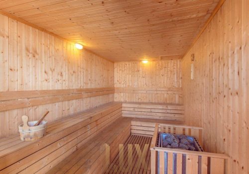 photo 6 2024-02-20 12-14-42