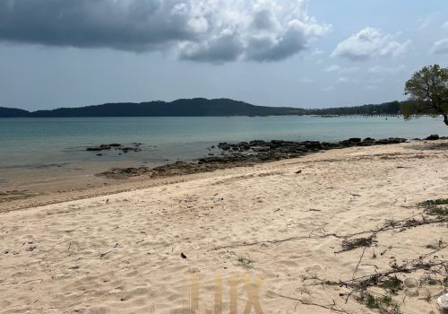 photo 6 2026-02-27 09-18-05