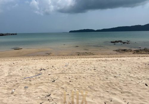 photo 7 2026-02-27 09-18-05