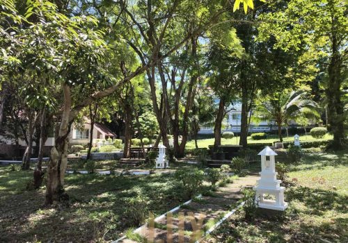 photo 8 2023-06-20 15-05-05