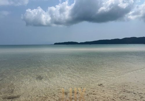 photo 8 2026-02-27 09-18-05